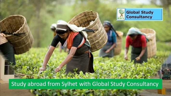 study abroad from sylhet
